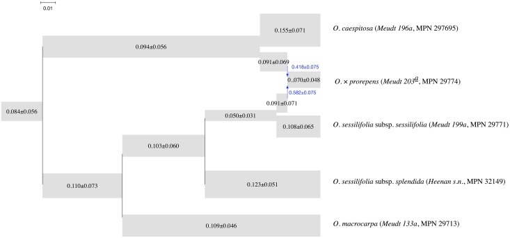 Fig 20