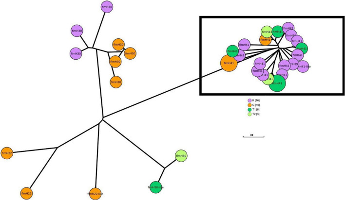 FIGURE 4