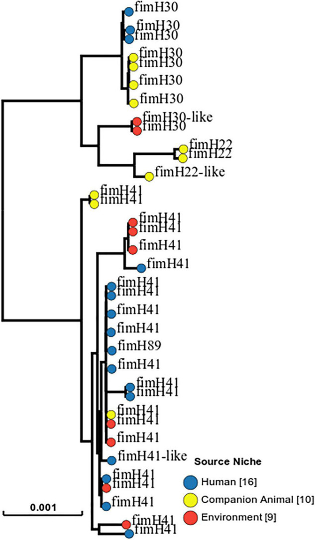 FIGURE 3