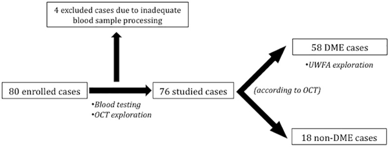 Fig 3