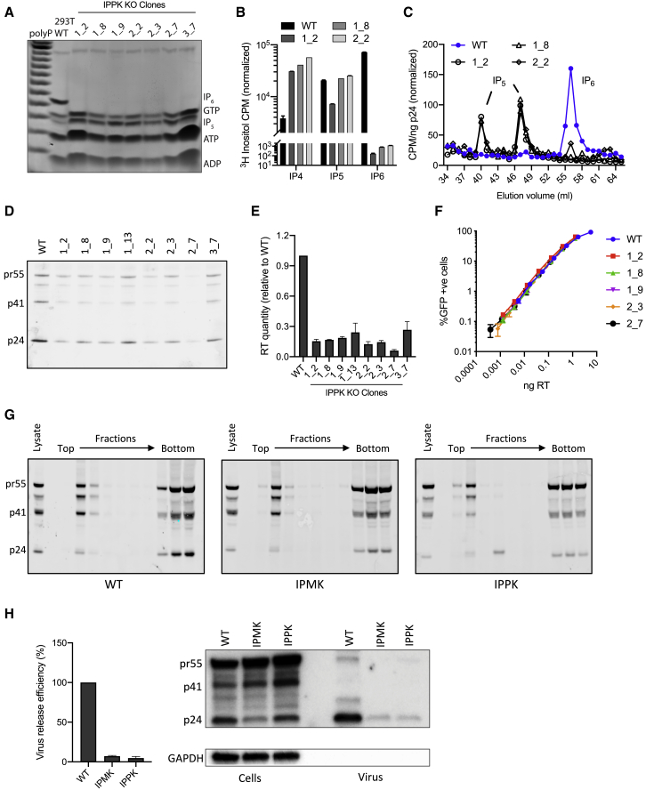 Figure 2