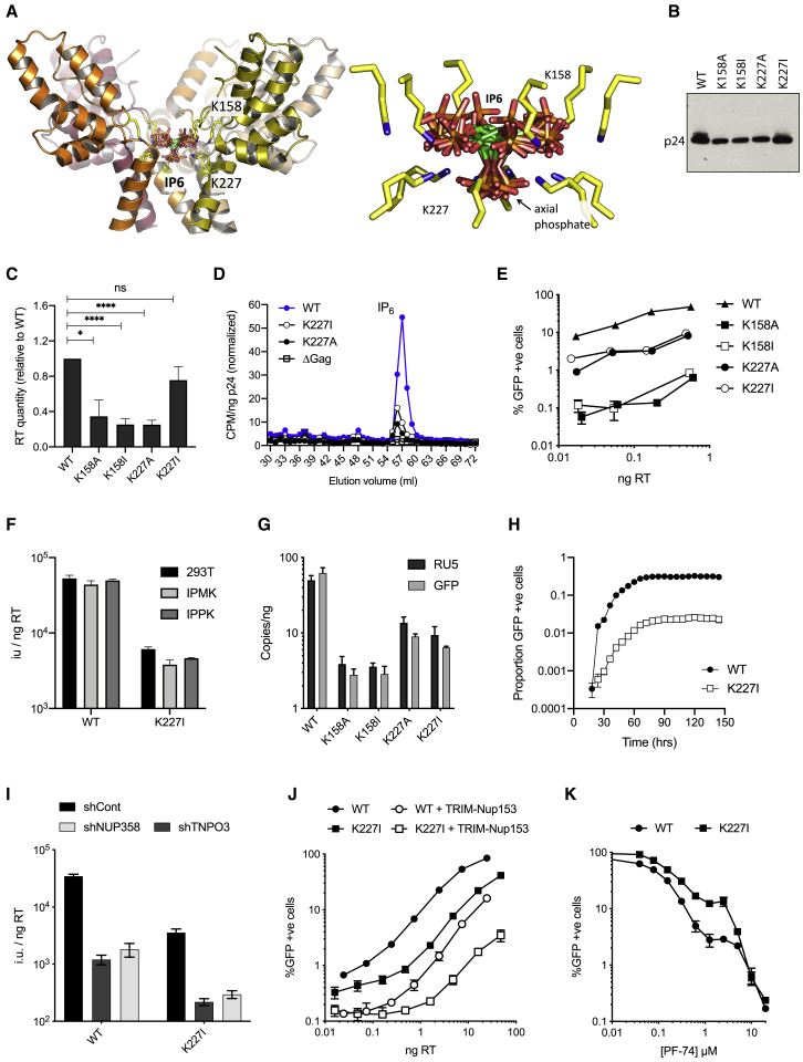 Figure 5