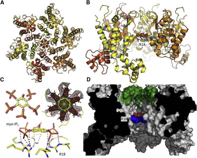 Figure 3