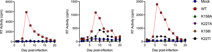 Figure 7