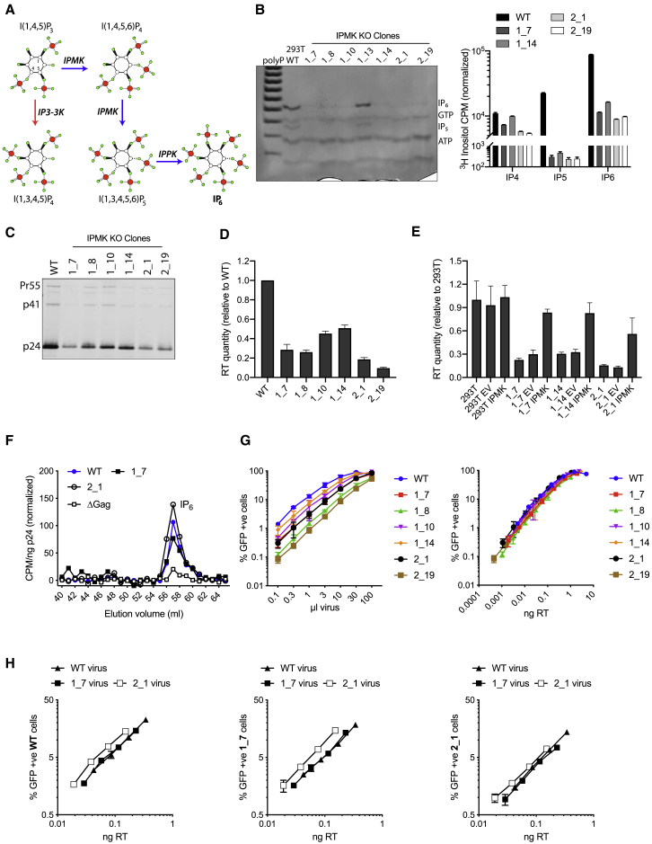 Figure 1