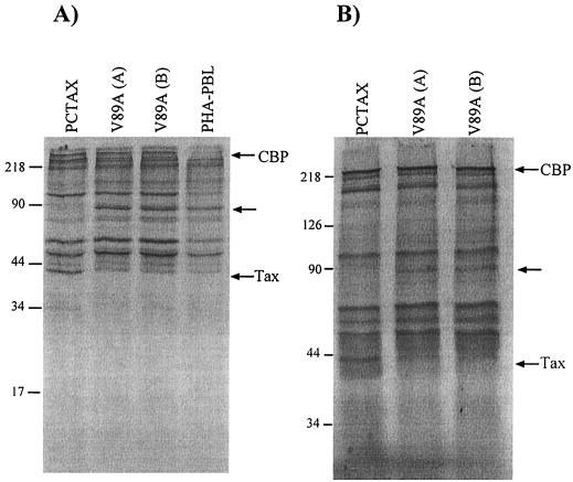 FIG. 5