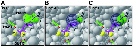 FIG. 6.