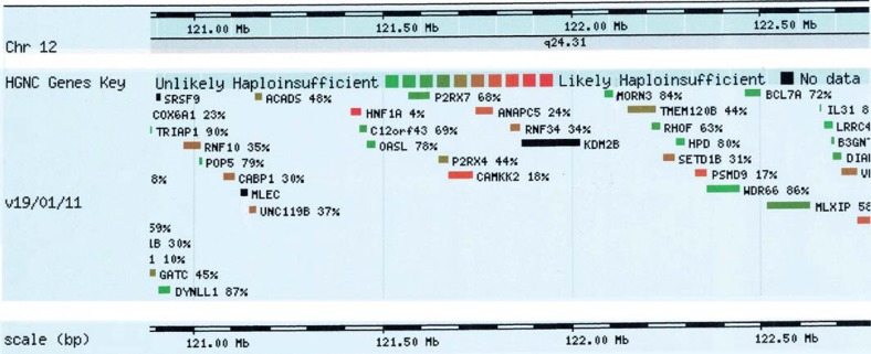 Fig. 5