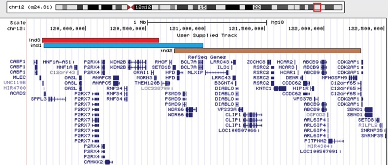 Fig. 4