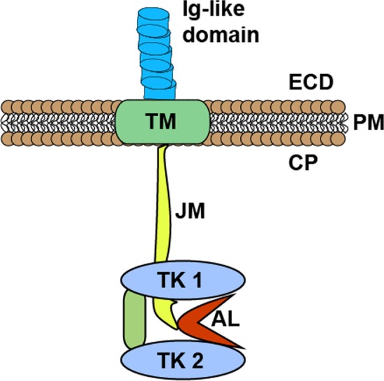 Fig. 1