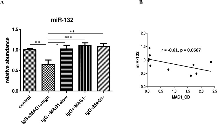 Fig 7