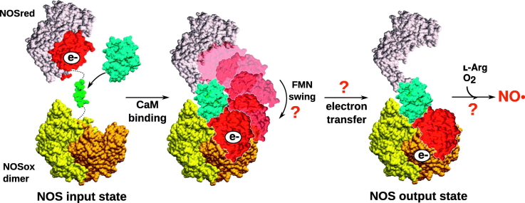 Unlabelled Image