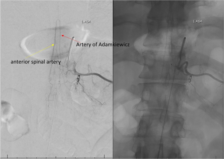 Fig. 7