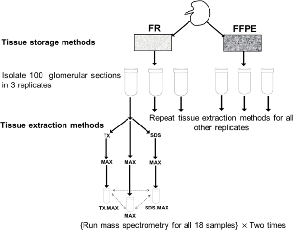 Figure 1: