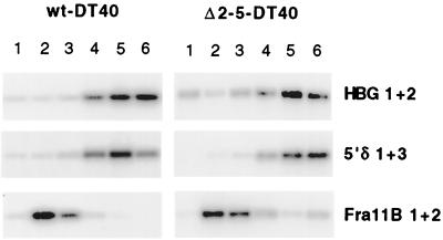 FIG. 7