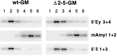 FIG. 6