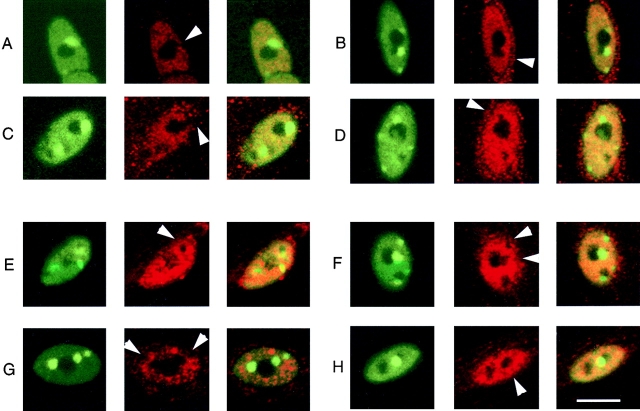 Figure 10.