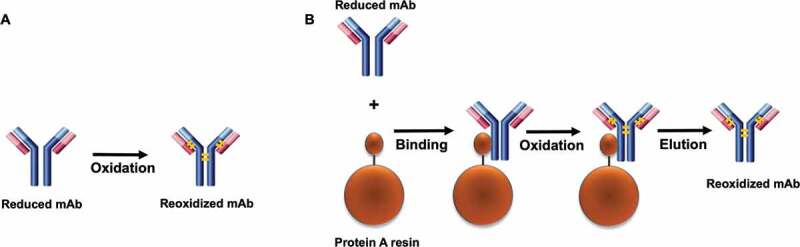 Figure 10.