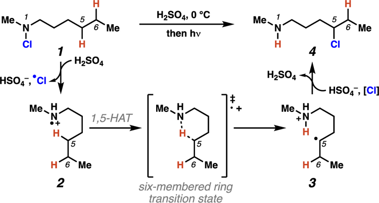 Scheme 1