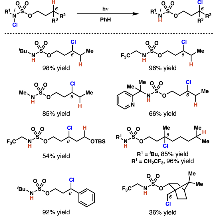 Scheme 15