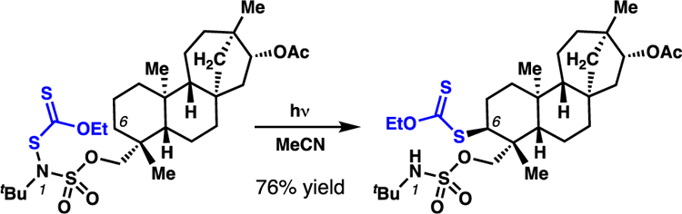 Scheme 20