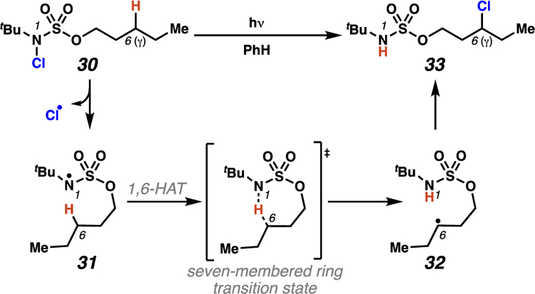 Scheme 14