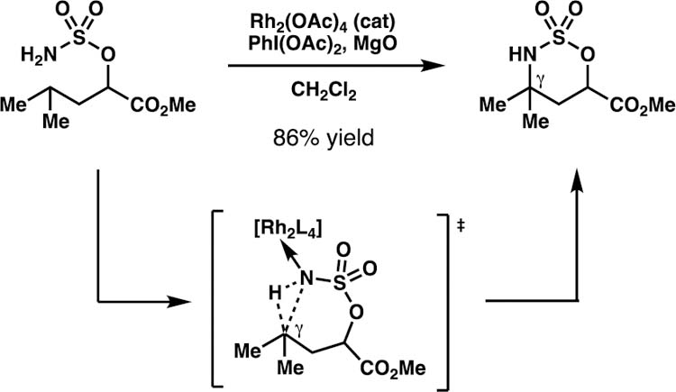 Scheme 13