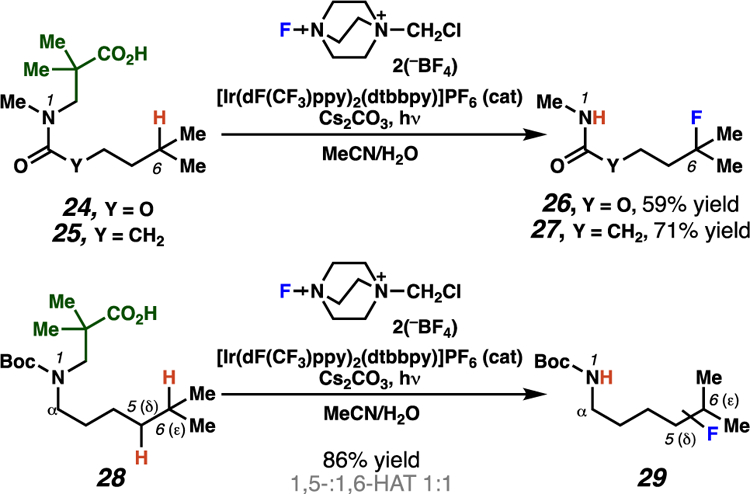 Scheme 12