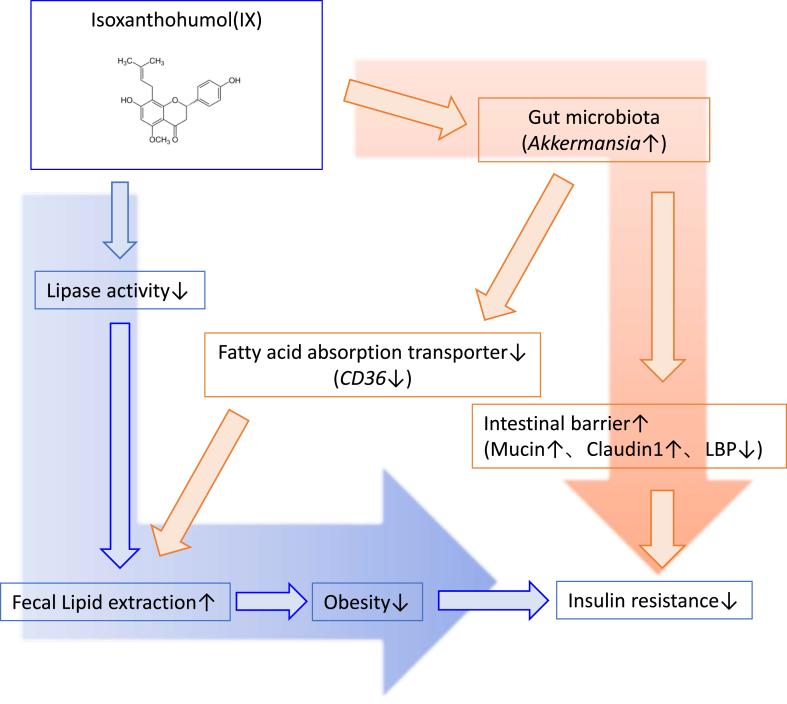 Figure 7