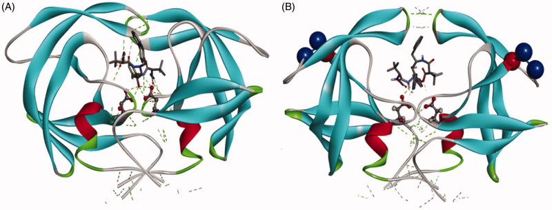 Figure 5.