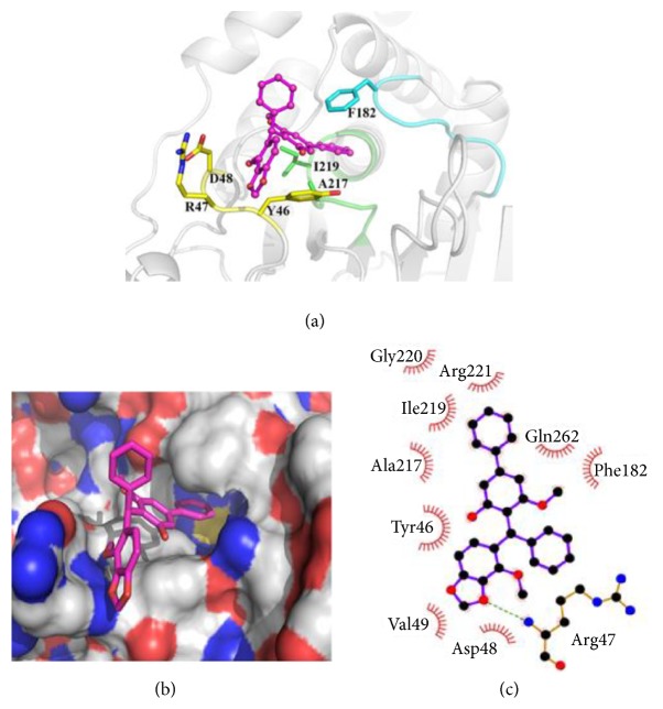 Figure 5