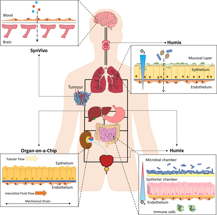 Figure 2.