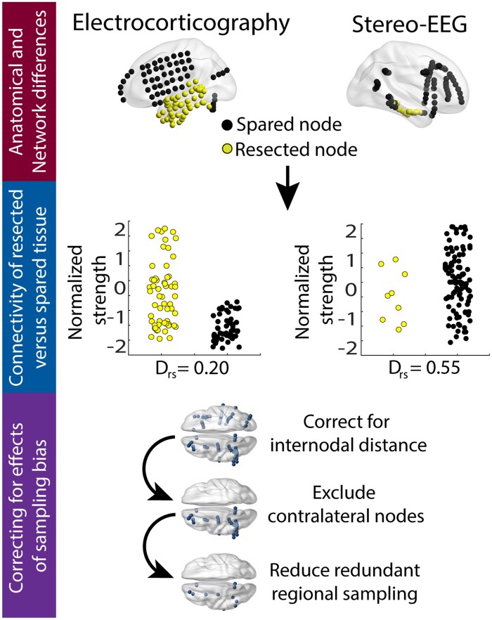 Graphical Abstract