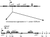 FIG. 1.
