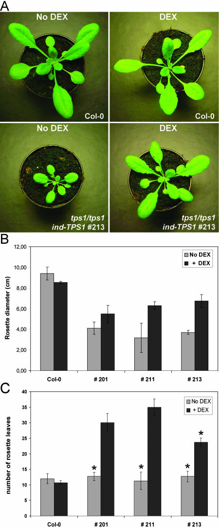 Figure 4.