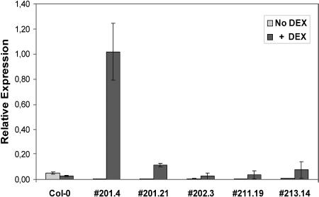 Figure 2.