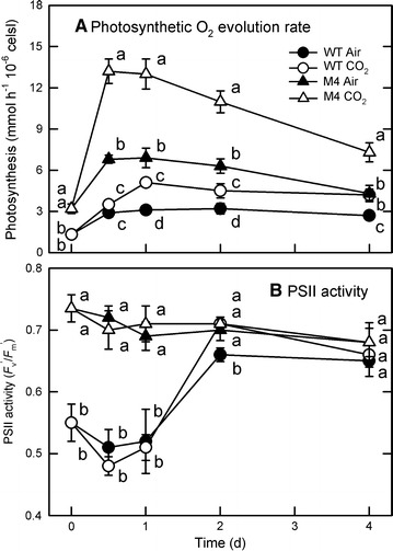 Fig. 4