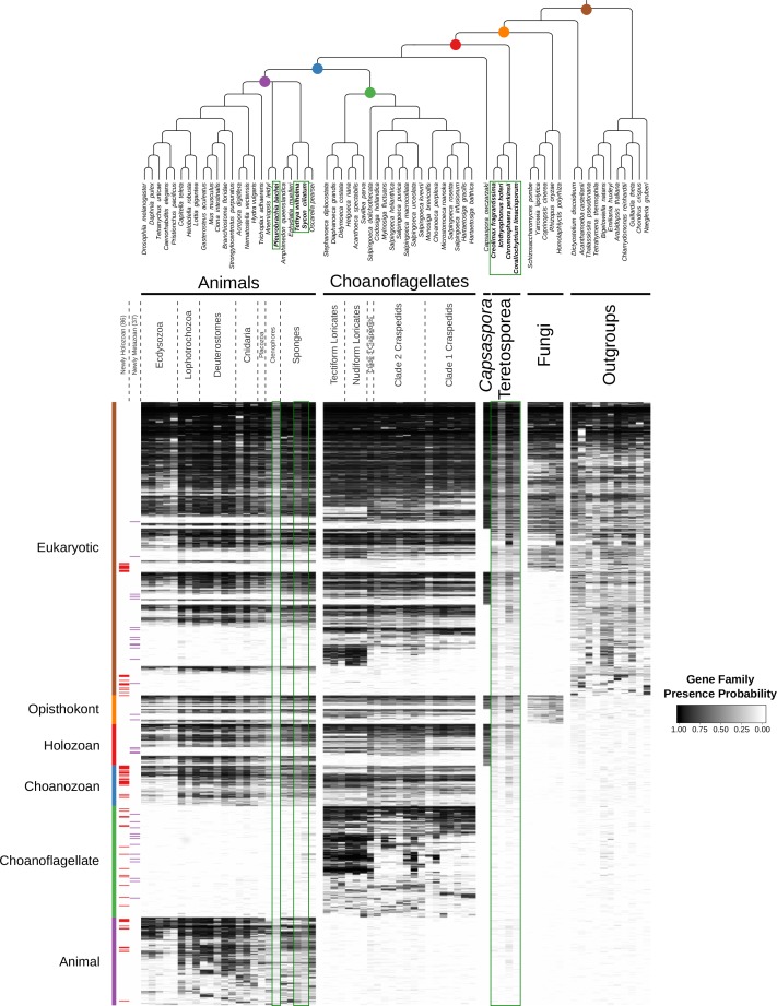 Figure 2—figure supplement 5.