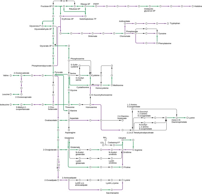 Figure 2—figure supplement 7.