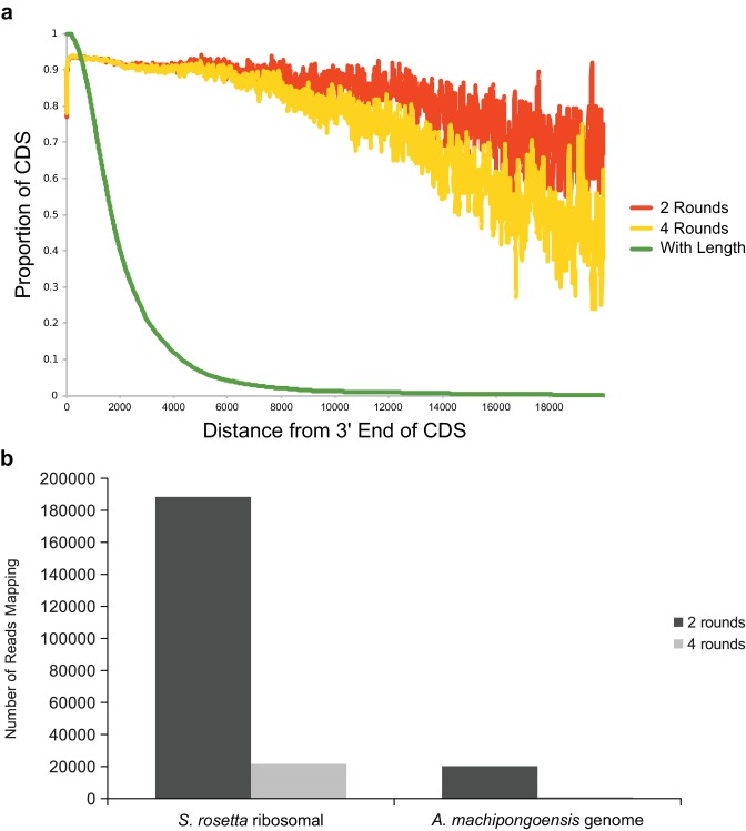 Figure 1—figure supplement 2.