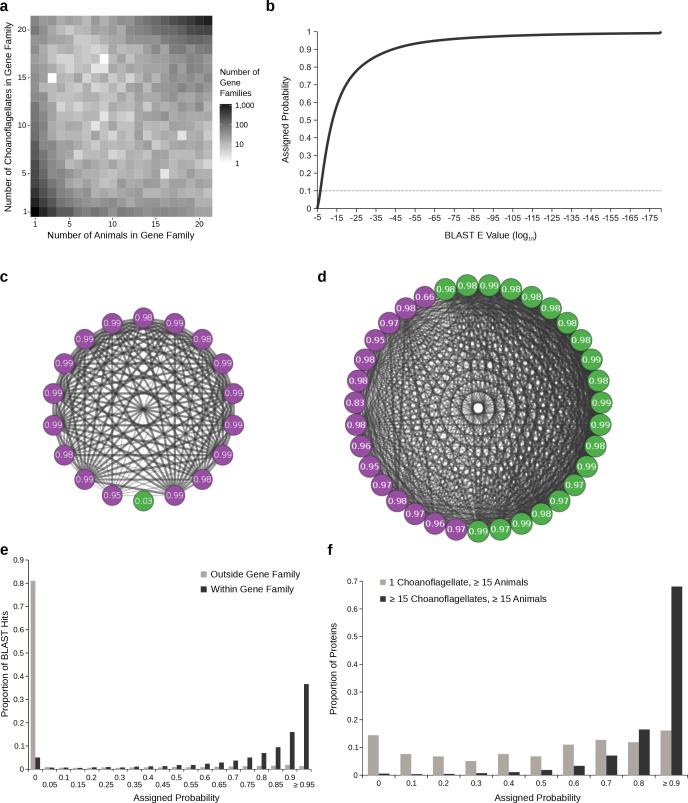 Figure 2—figure supplement 2.