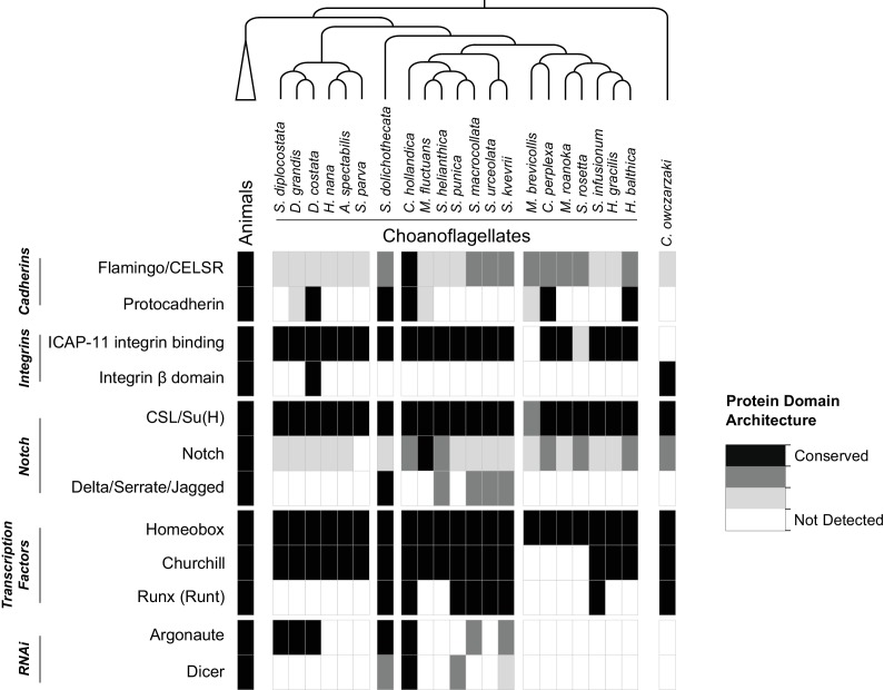 Figure 2—figure supplement 6.