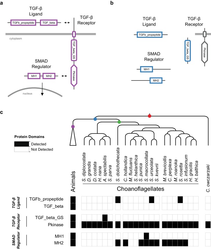 Figure 2—figure supplement 9.