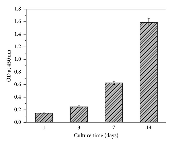 Figure 7