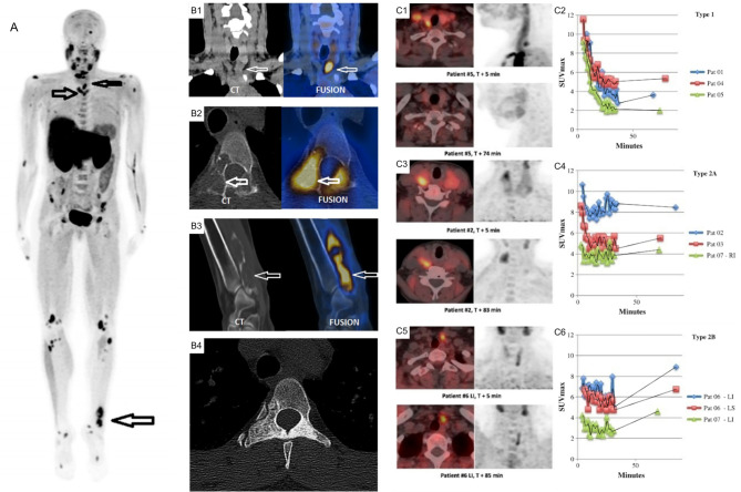 Figure 12