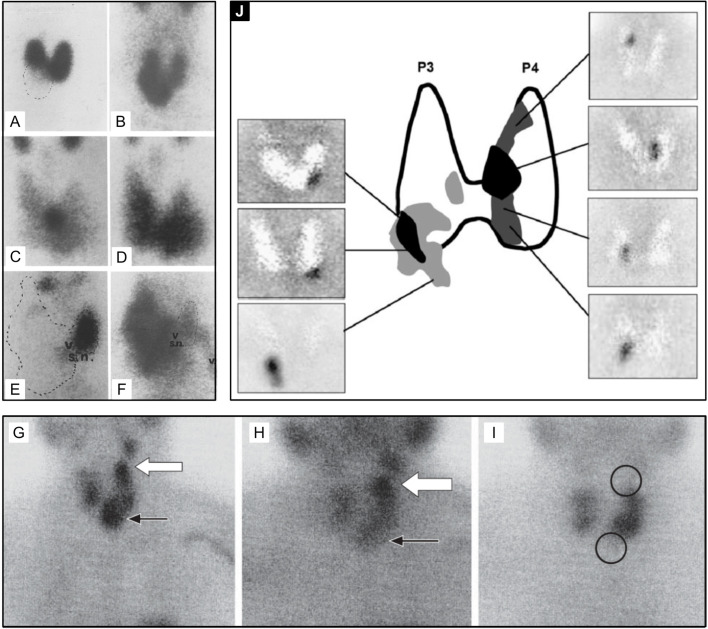 Figure 5