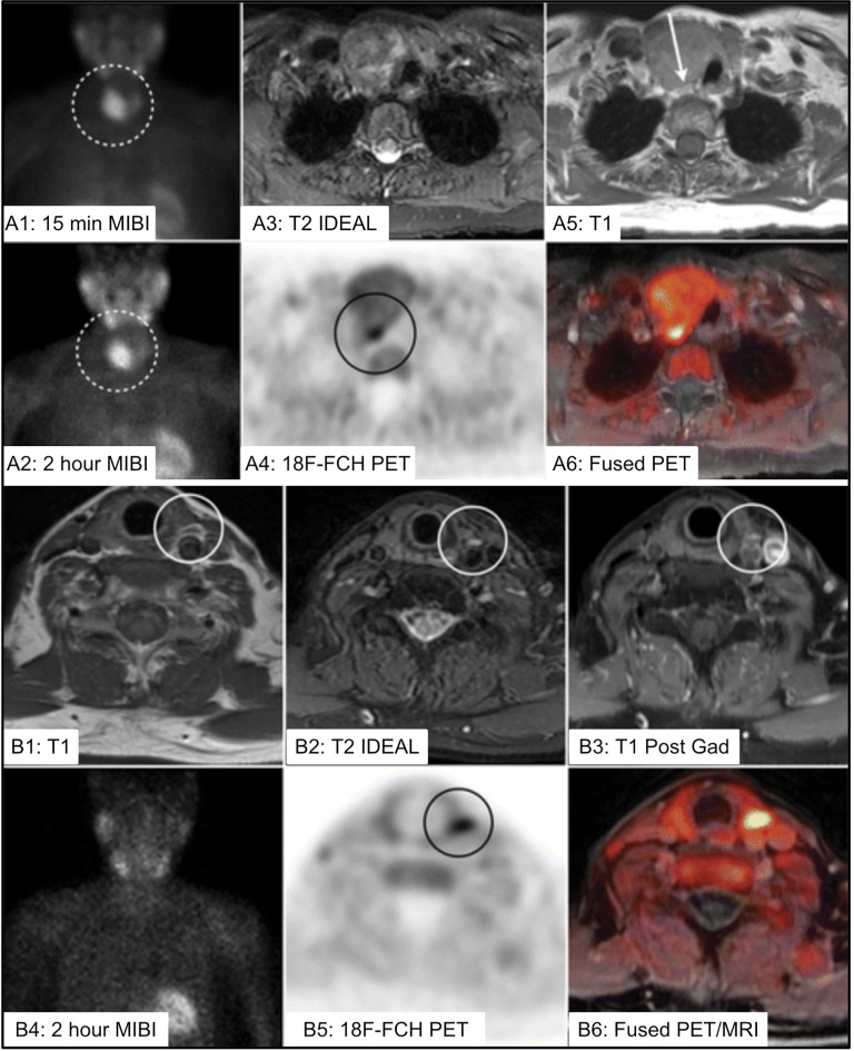 Figure 13