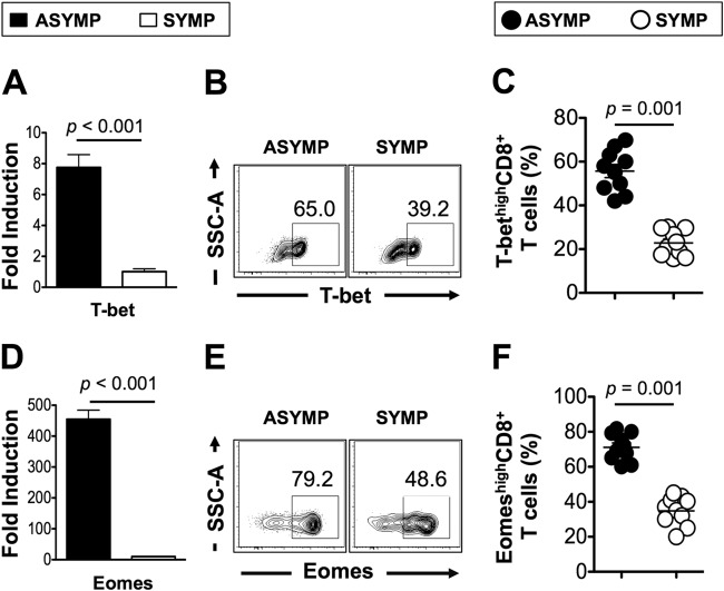 FIG 3