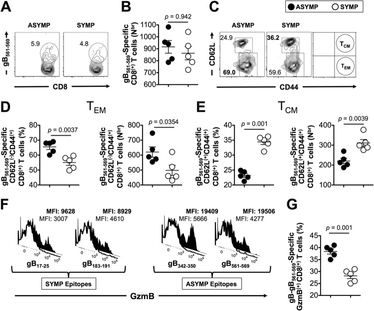 FIG 6