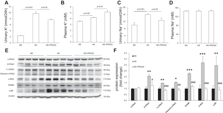 Fig. 9.